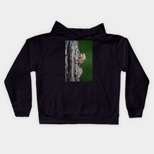 Cicada Shell Kids Hoodie